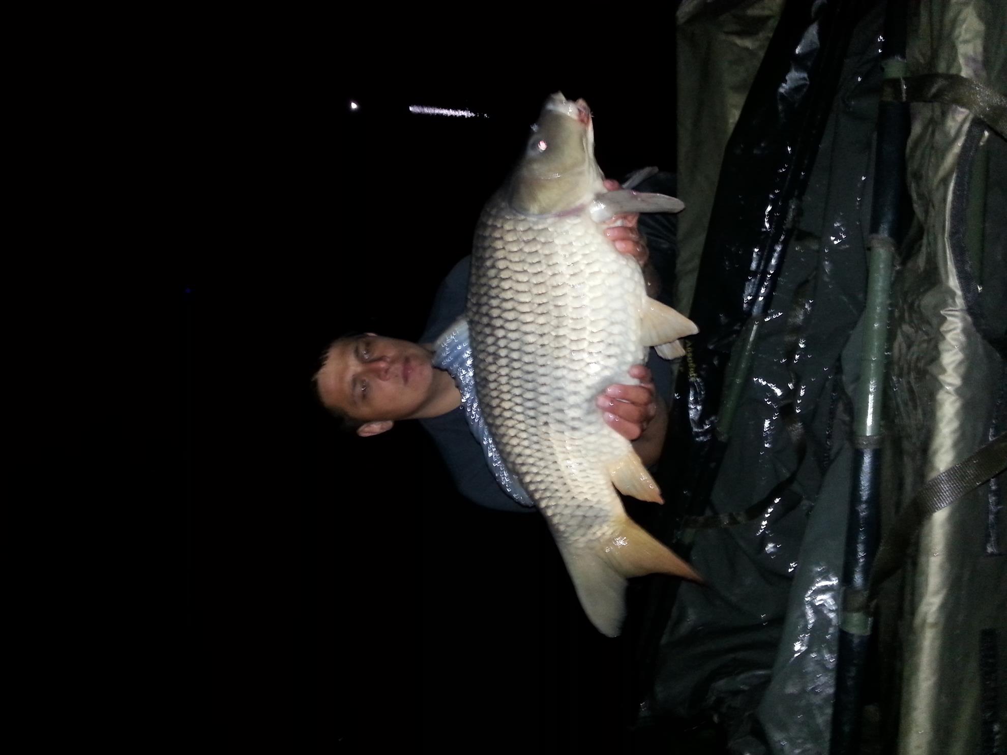 Moara Vlasiei 2 21 - 22 aprilie 2016 - 20160421214257.jpg